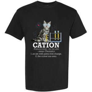 Cation Funny Chemistry Humor Science Teacher Cat Pun Garment-Dyed Heavyweight T-Shirt