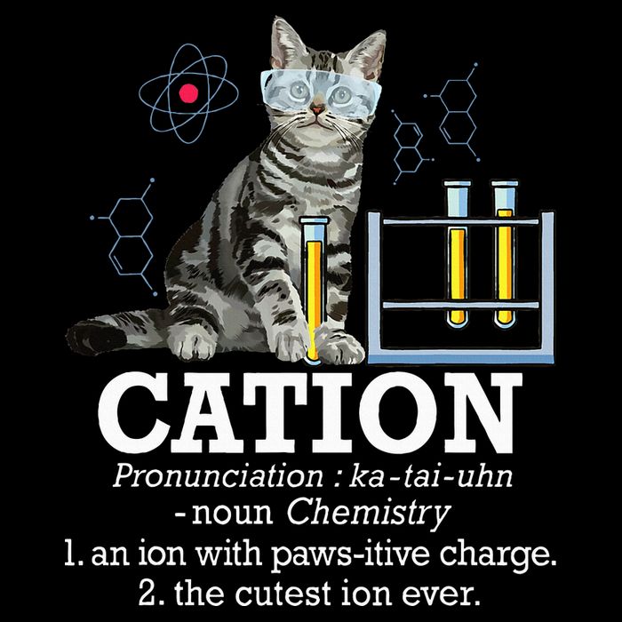 Cation Funny Chemistry Humor Science Teacher Cat Pun Sustainable Bucket Hat