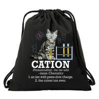 Cation Funny Chemistry Humor Science Teacher Cat Pun Drawstring Bag