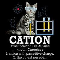 Cation Funny Chemistry Humor Science Teacher Cat Pun Drawstring Bag