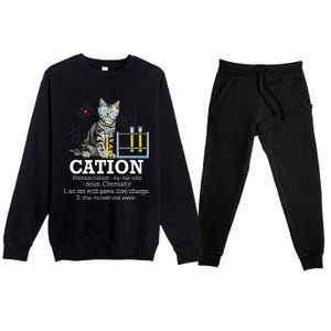 Cation Funny Chemistry Humor Science Teacher Cat Pun Premium Crewneck Sweatsuit Set