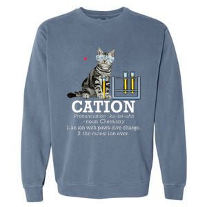 Cation Funny Chemistry Humor Science Teacher Cat Pun Garment-Dyed Sweatshirt