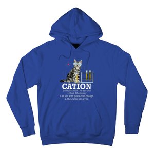 Cation Funny Chemistry Humor Science Teacher Cat Pun Hoodie