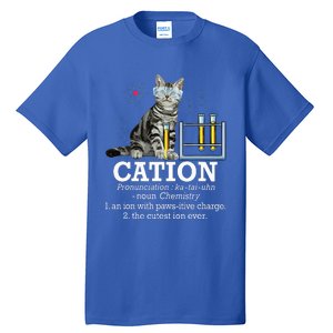 Cation Funny Chemistry Humor Science Teacher Cat Pun Tall T-Shirt