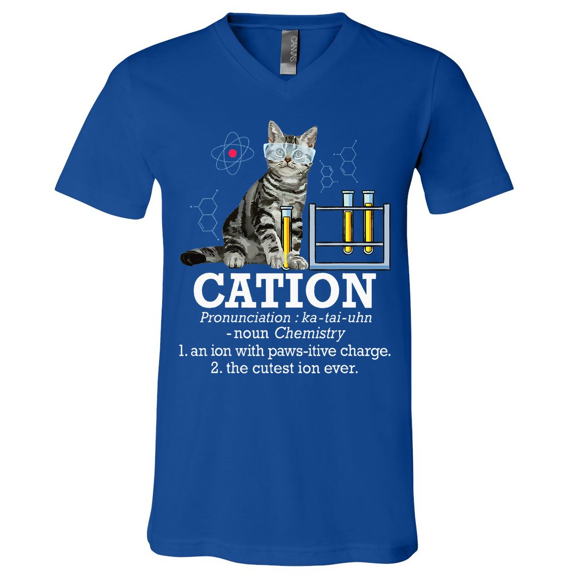 Cation Funny Chemistry Humor Science Teacher Cat Pun V-Neck T-Shirt