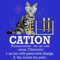 Cation Funny Chemistry Humor Science Teacher Cat Pun Tumbler