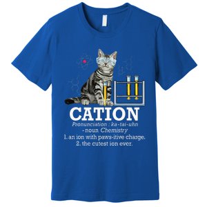 Cation Funny Chemistry Humor Science Teacher Cat Pun Premium T-Shirt