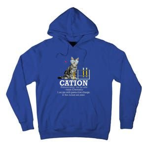 Cation Funny Chemistry Humor Science Teacher Cat Pun Tall Hoodie