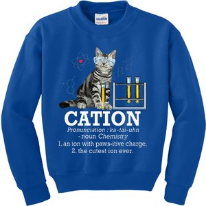 Cation Funny Chemistry Humor Science Teacher Cat Pun Kids Sweatshirt