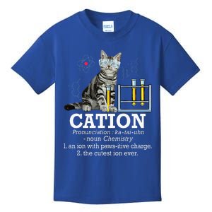 Cation Funny Chemistry Humor Science Teacher Cat Pun Kids T-Shirt