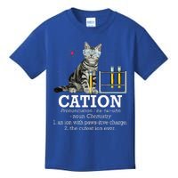 Cation Funny Chemistry Humor Science Teacher Cat Pun Kids T-Shirt