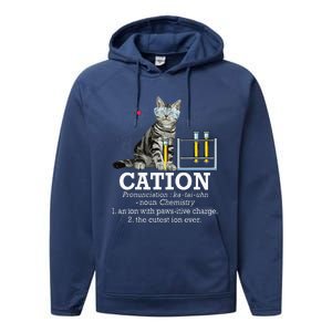 Cation Funny Chemistry Humor Science Teacher Cat Pun Performance Fleece Hoodie