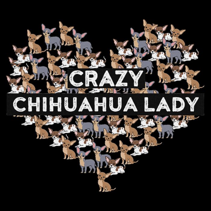 Chihuahua Funny Crazy Chihuahua Lady 16 in Basic Backpack