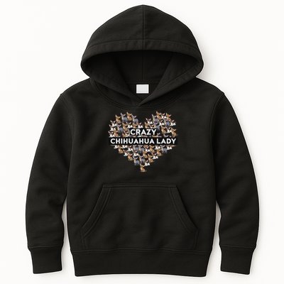 Chihuahua Funny Crazy Chihuahua Lady Kids Hoodie