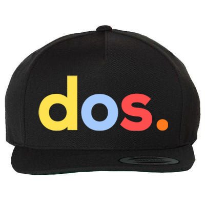 Cute Funny Dos Anos 2nd Birthday For Boys Wool Snapback Cap