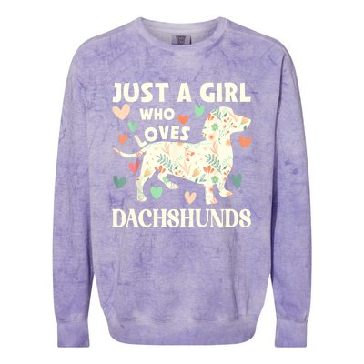 Cute Floral Dachshund Dog Just A Girl Who Loves Dachshunds Gift Colorblast Crewneck Sweatshirt