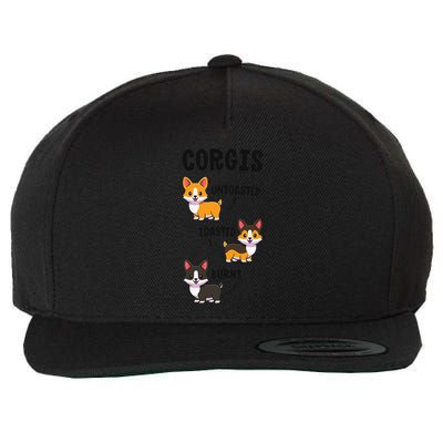 Corgi Funny Dog Lovers Gift Untoasted Toasted Burnt Gift Wool Snapback Cap