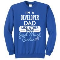 Cool Fathers Day Design Developer Dad Cute Gift Sweatshirt