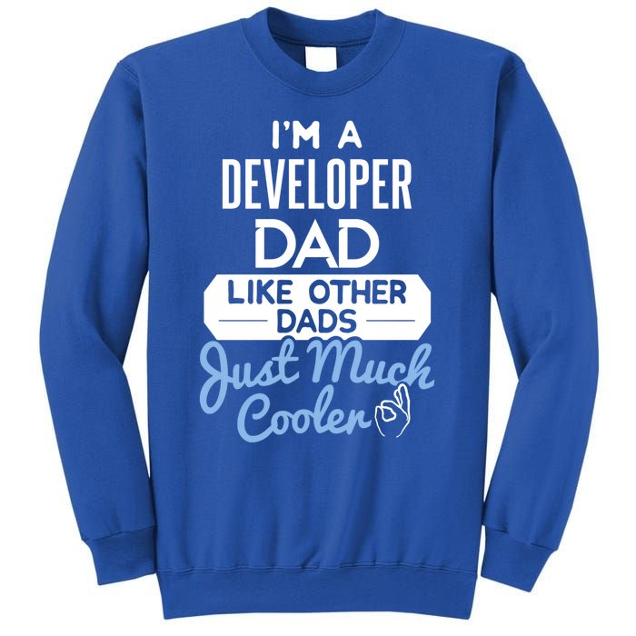 Cool Fathers Day Design Developer Dad Cute Gift Sweatshirt