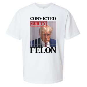 Convicted Felon Donald Trump Guilty Lock Him Up Trump Prison Sueded Cloud Jersey T-Shirt