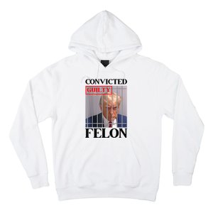 Convicted Felon Donald Trump Guilty Lock Him Up Trump Prison Hoodie