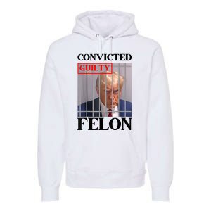 Convicted Felon Donald Trump Guilty Lock Him Up Trump Prison Premium Hoodie