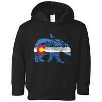 Colorado Flag Design Mountains And Bear Landscape Graphic Toddler Hoodie