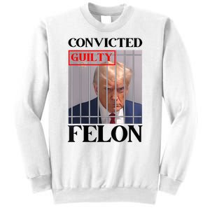 Convicted Felon Donald Trump Guilty Lock Him Up Trump Prison Sweatshirt