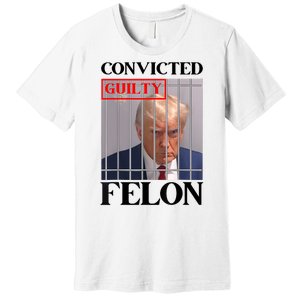 Convicted Felon Donald Trump Guilty Lock Him Up Trump Prison Premium T-Shirt