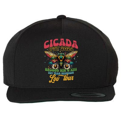 Cicada Funny Double Brood Cicada 2024 Concert Band Wool Snapback Cap