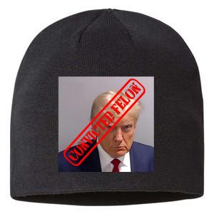 Convicted Felon Donald Trump Sustainable Beanie