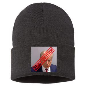 Convicted Felon Donald Trump Sustainable Knit Beanie