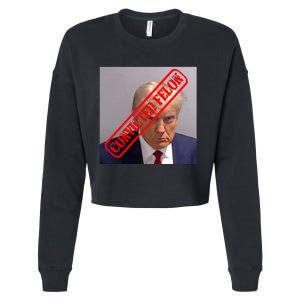 Convicted Felon Donald Trump Cropped Pullover Crew