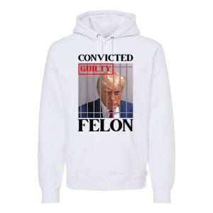 Convicted Felon Donald Trump Guilty Lock Him Up Trump Premium Hoodie