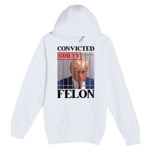 Convicted Felon Donald Trump Guilty Lock Him Up Trump Premium Pullover Hoodie