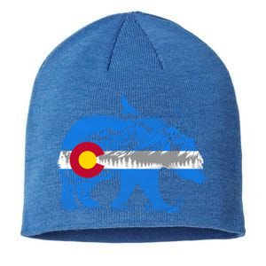 Colorado Flag Design Mountains And Bear Landscape Graphic Gift Sustainable Beanie