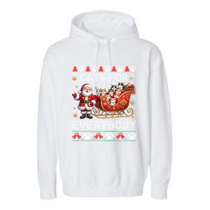 Cats For Everybody Christmas Santa Xmas Funny Gift Gift Garment-Dyed Fleece Hoodie