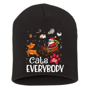 Cats For Everybody Christmas Cat Funny Xmas Women Santa Short Acrylic Beanie