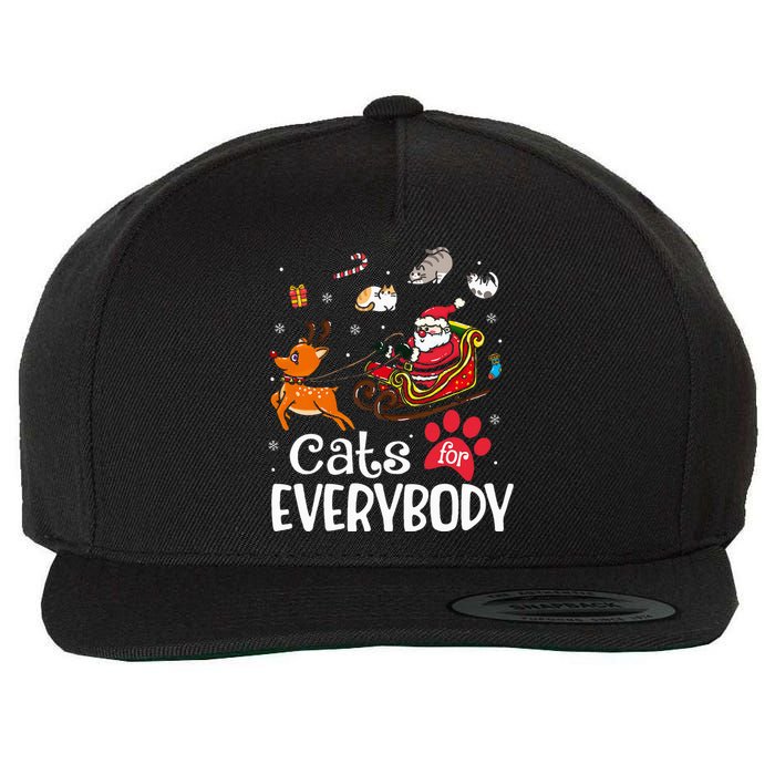 Cats For Everybody Christmas Cat Funny Xmas Women Santa Wool Snapback Cap