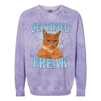 Certified Freak Eat Cement Cursed Cat Funny Cat Meme Colorblast Crewneck Sweatshirt