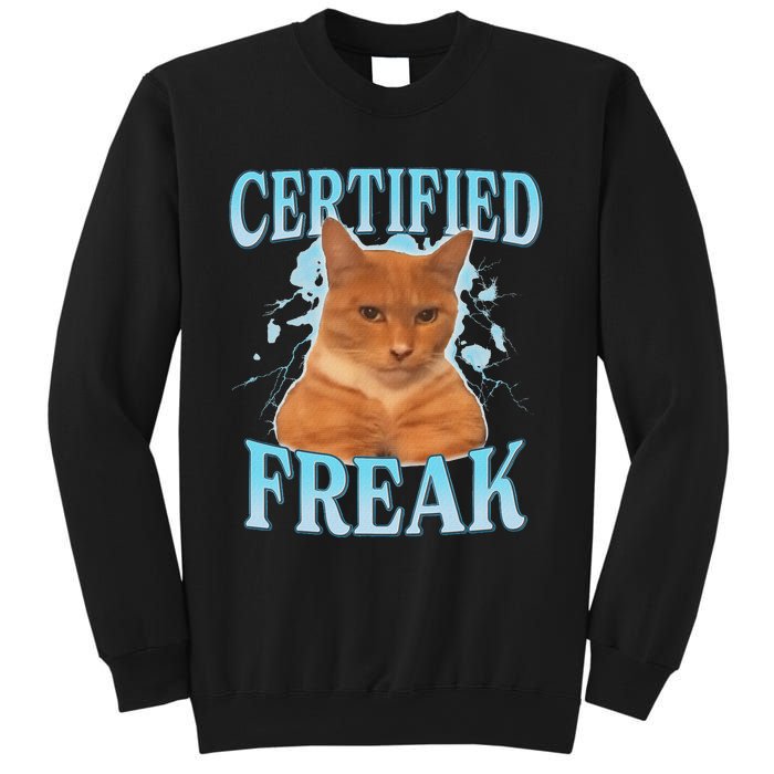 Certified Freak Eat Cement Cursed Cat Funny Cat Meme Sweatshirt