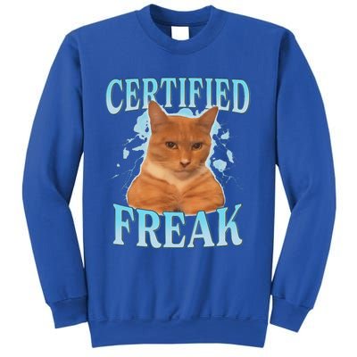 Certified Freak Eat Cement Cursed Cat Sweatshirt