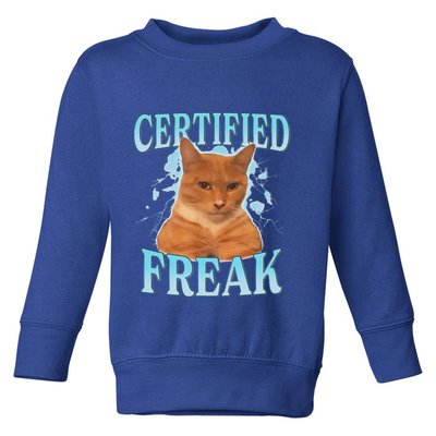 Certified Freak Eat Cement Cursed Cat Toddler Sweatshirt