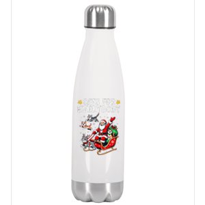 Cats For Everybody Christmas Cat Funny Santa Gift Stainless Steel Insulated Water Bottle