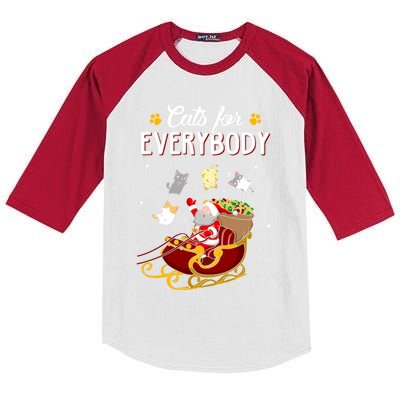 Cats For Everybody Cat Christmas Ugly Christmas Gift Kids Colorblock Raglan Jersey