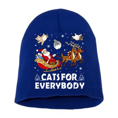 Cats For Everybody Christmas Cat Funny Xmas Santa Gift Short Acrylic Beanie