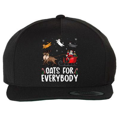 Cats For Everybody Christmas Cat Funny Xmas Santa Gift Wool Snapback Cap