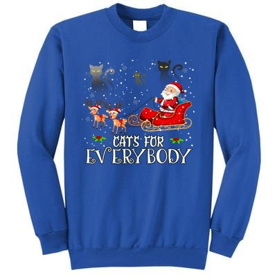 Cats For Everybody Christmas Cat Funny Xmas Santa Gift Tall Sweatshirt