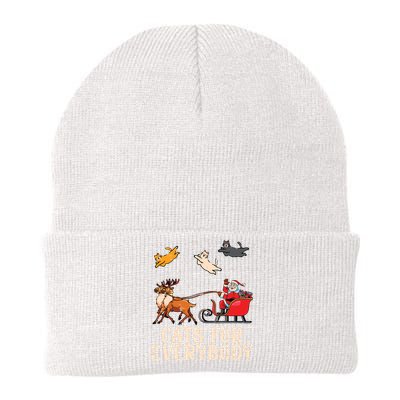 Cats For Everybody Christmas Cat Funny Xmas Santa Knit Cap Winter Beanie