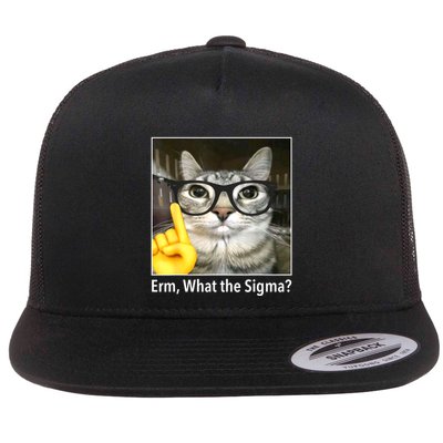 Cat Funny Erm What The Sigma? Cat Meme Funny Flat Bill Trucker Hat